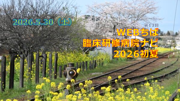 chibanavipre20260530.pdf